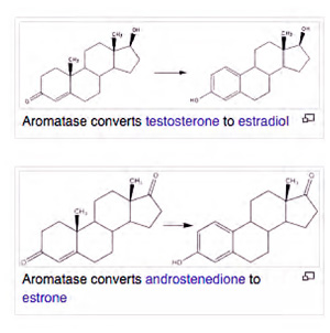 Aromatase inhibitors